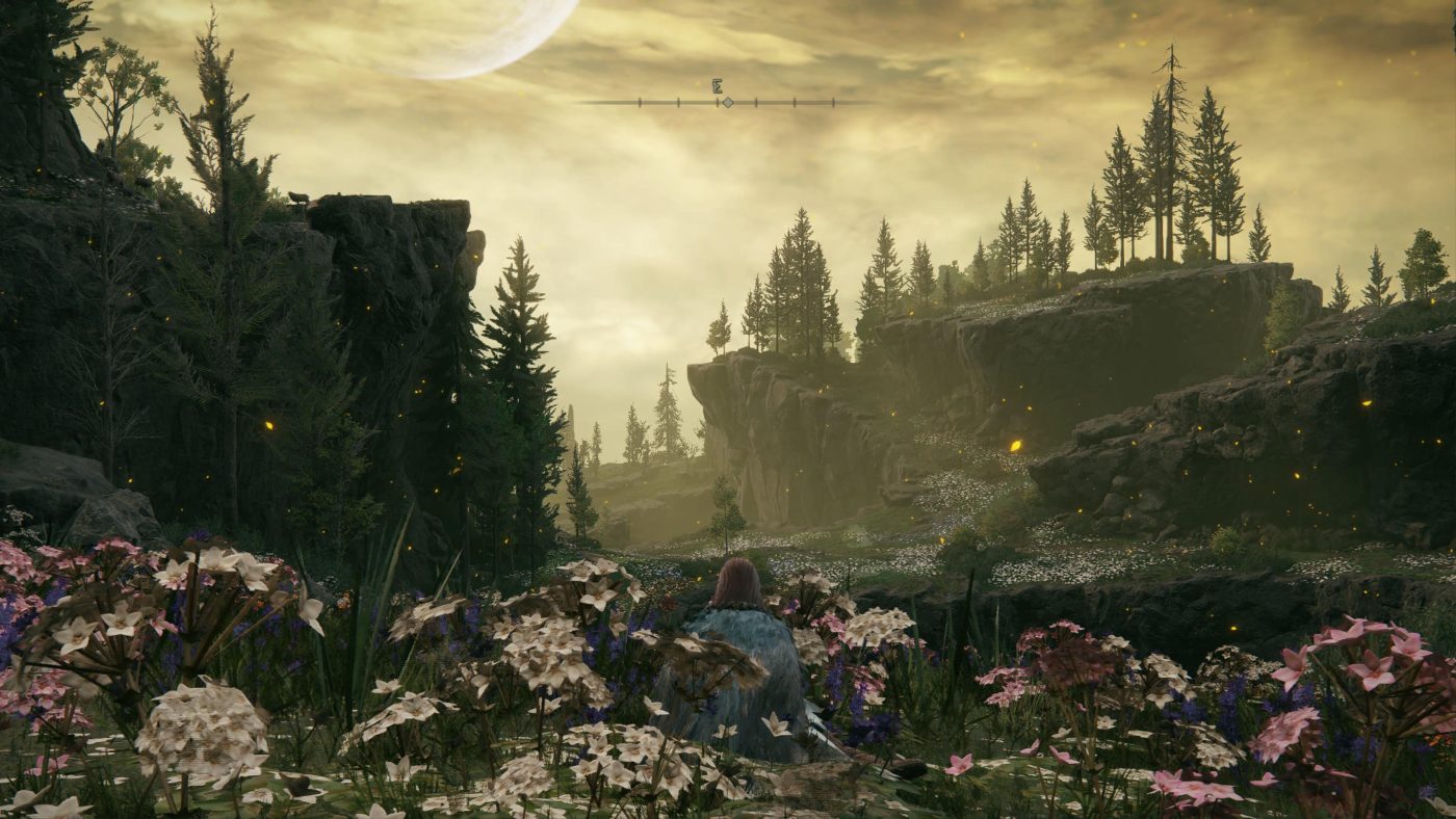 Elden Ring: Shadow of the Erdtree