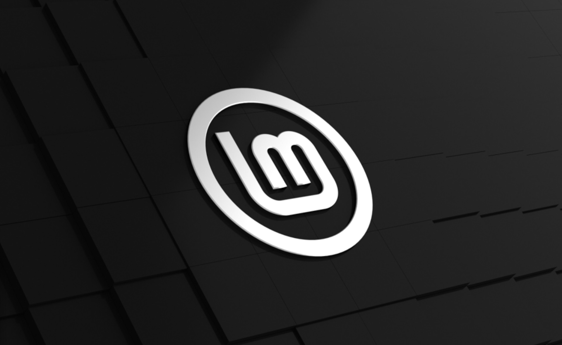 Linux Mint 22 logo