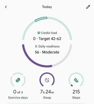 Wynik codziennej gotowości w Fitbit