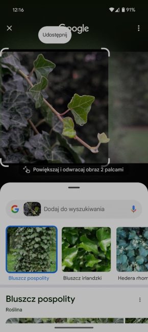 Funkcje AI w Google Pixel 9