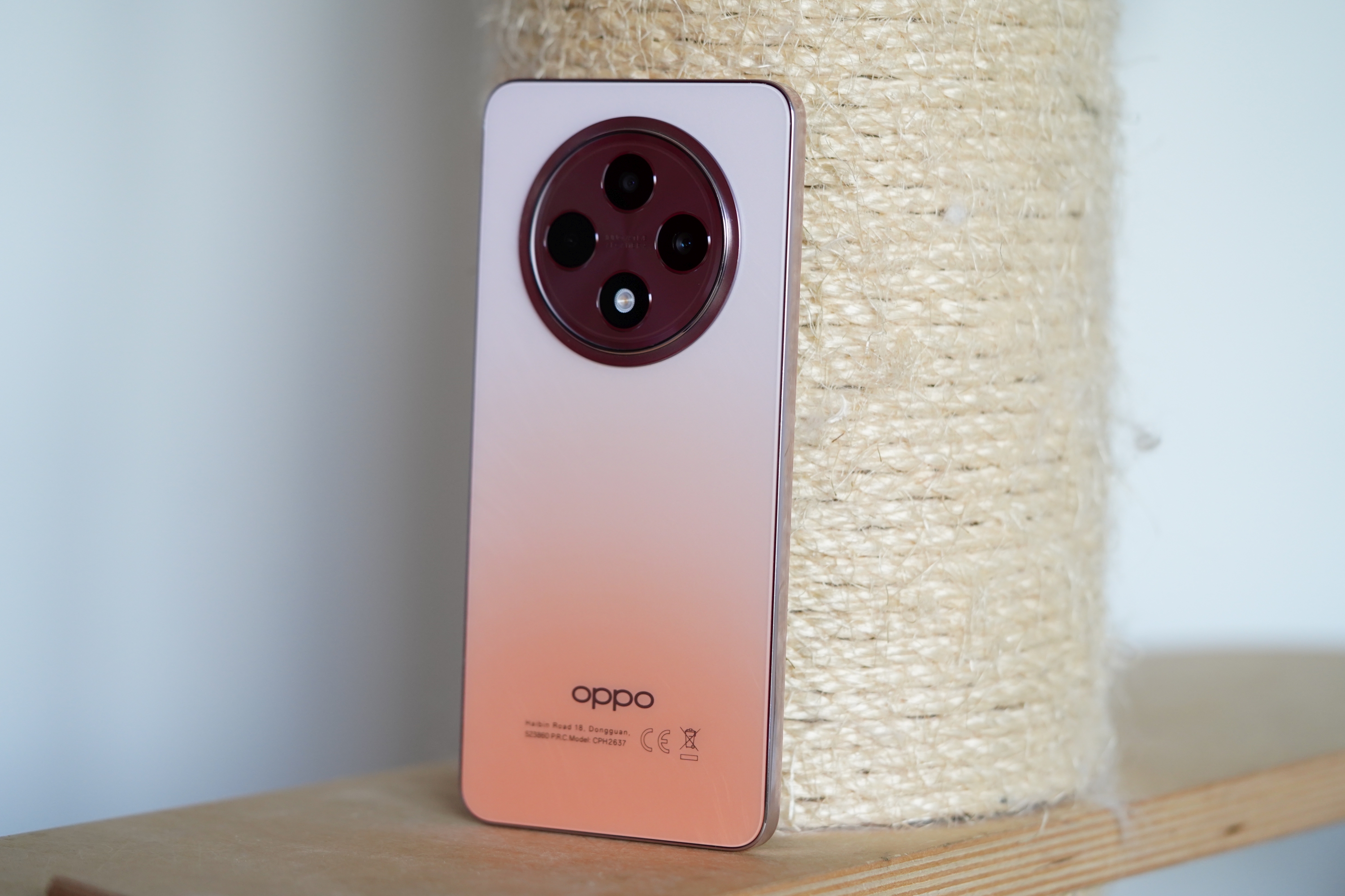 Oppo Reno 12 FS 5G