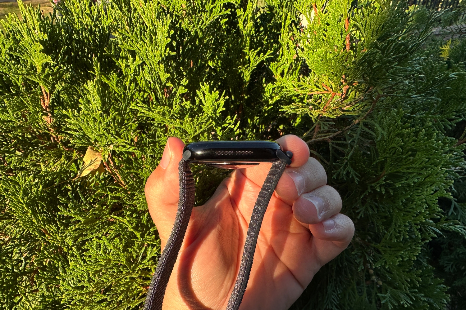 Apple Watch Series 10