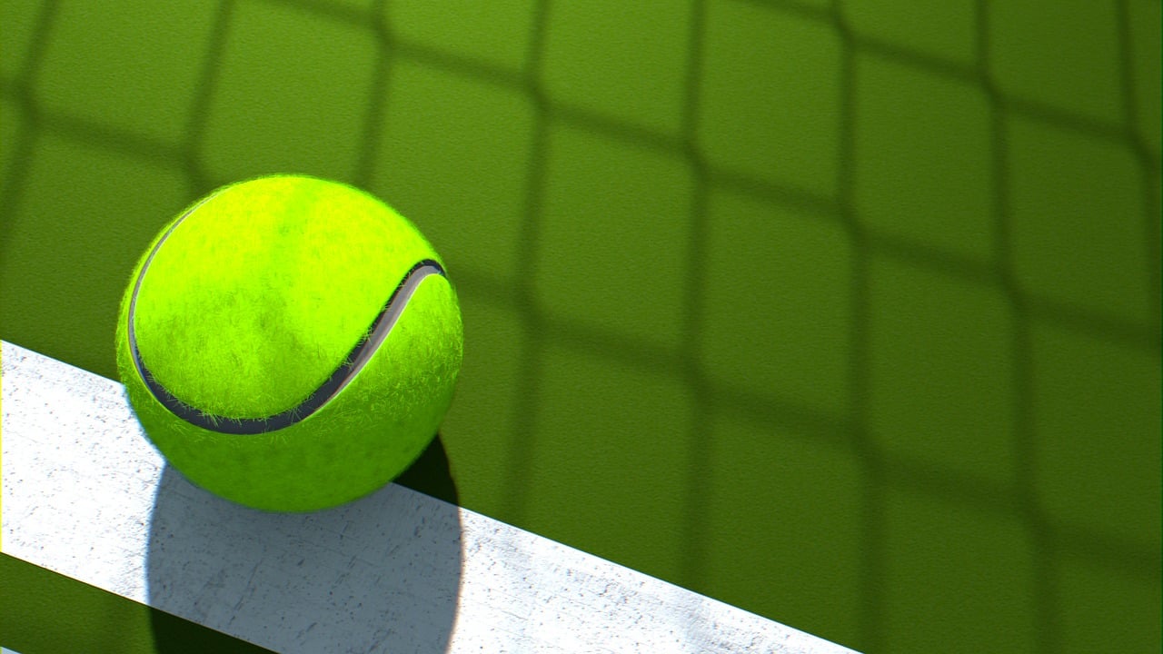 tenis piłka linia