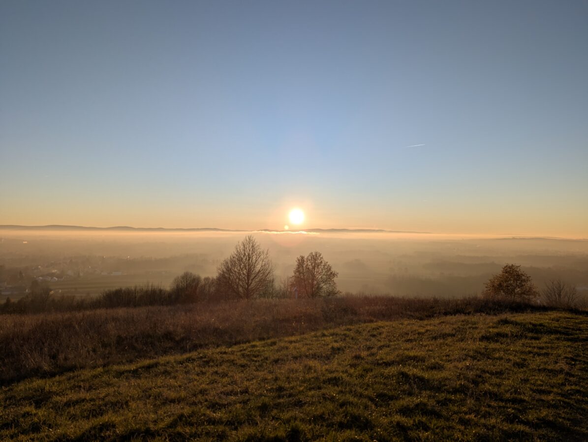 Pixel 7