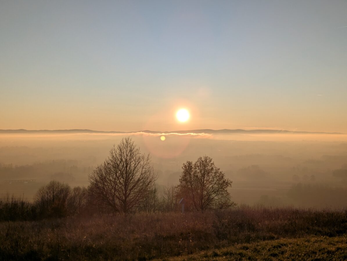 Pixel 7