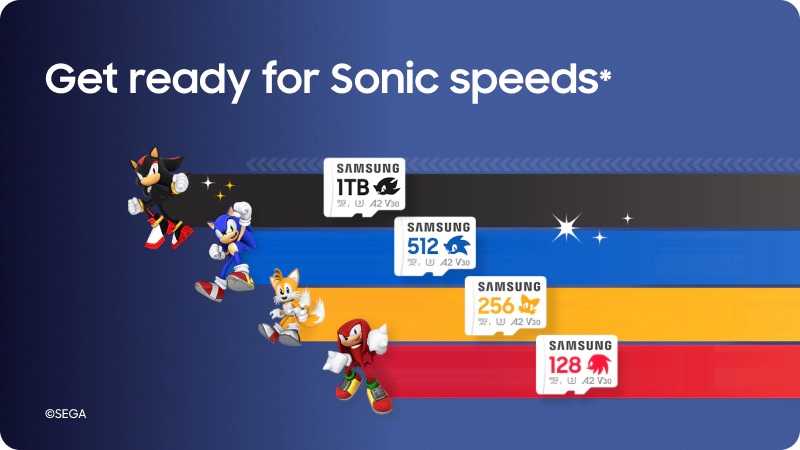 Karta microSD Samsung Sonic the Hedgehog PRO Plus