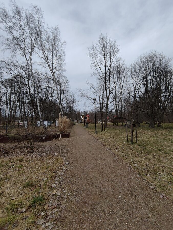 Nothing Phone 3a zoom maksymalny