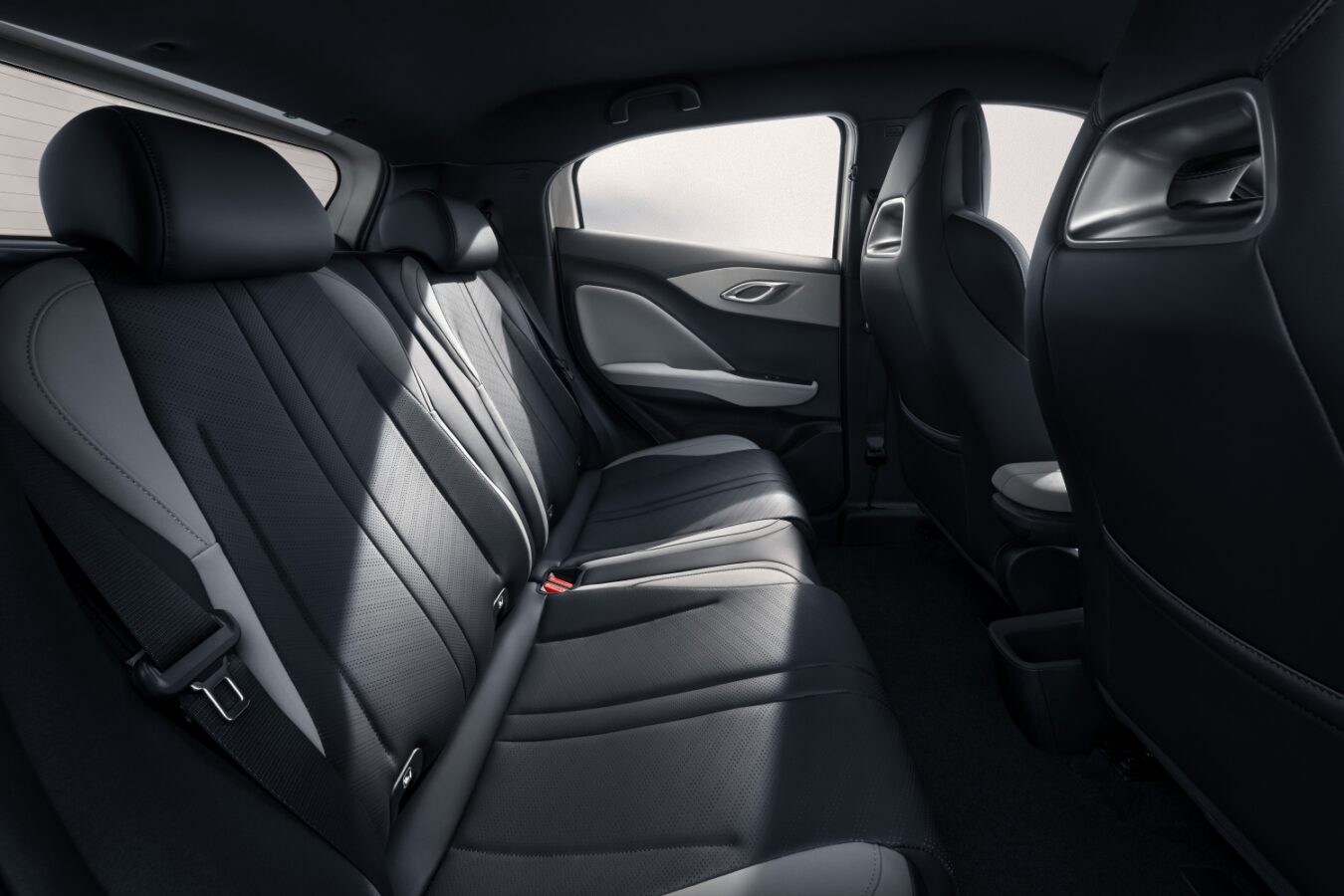BYD Dolphin Surf