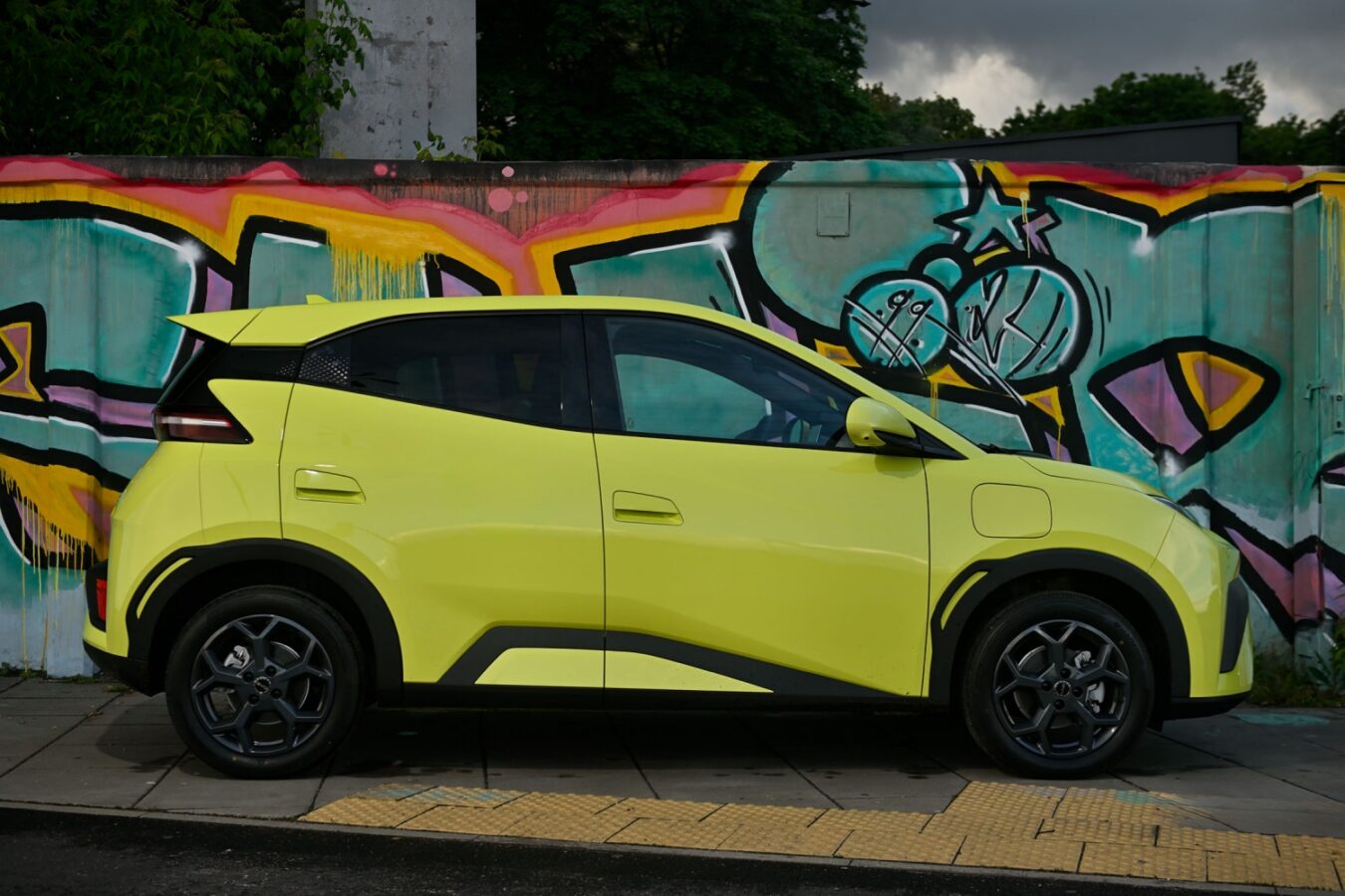 BYD Dolphin Surf
