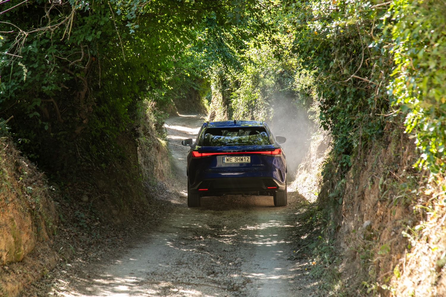 Lexus RX PHEV