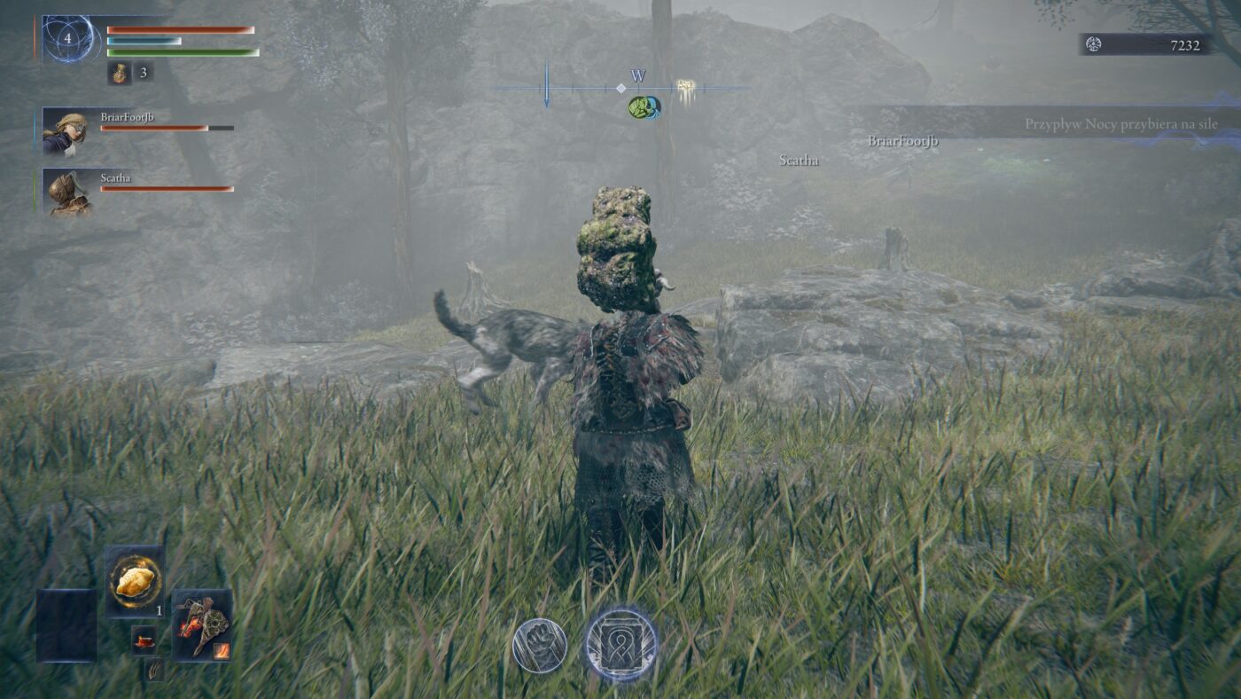 Elden Ring Nightreign