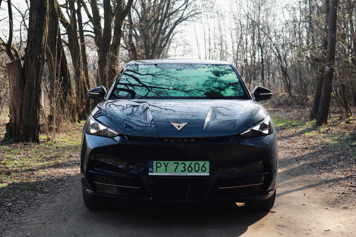 Cupra Tavascan