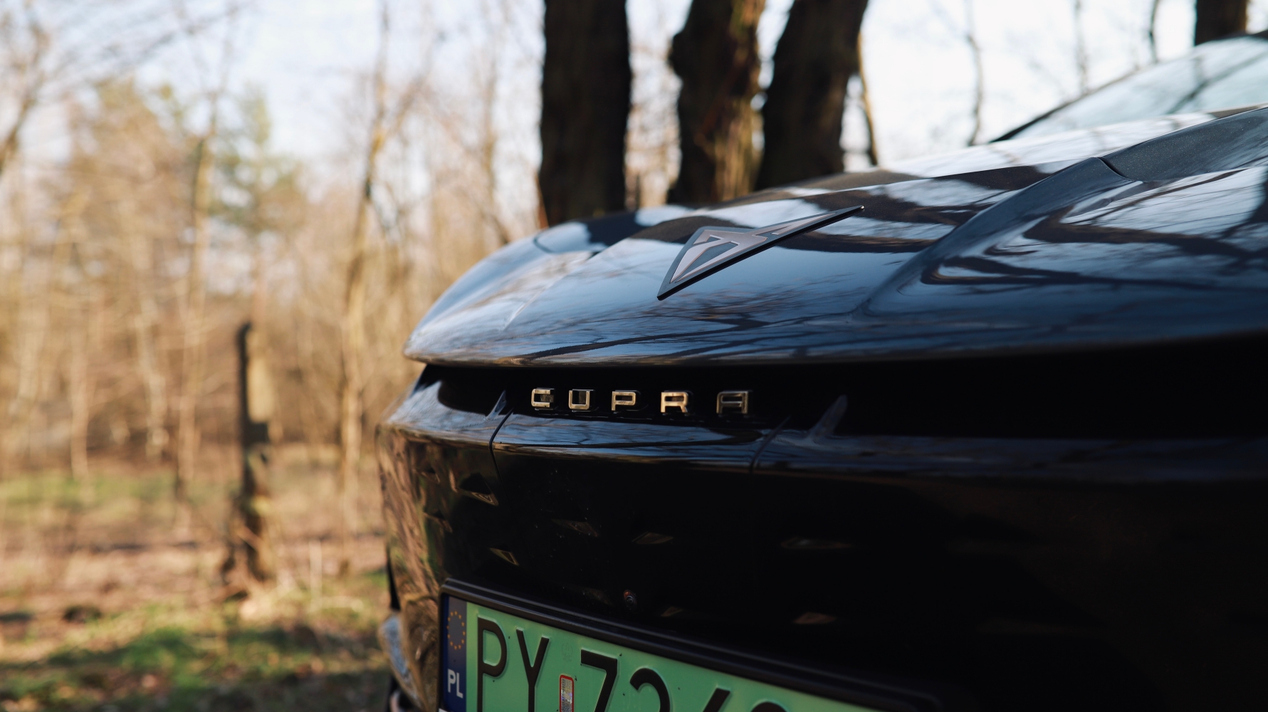 Cupra Tavascan