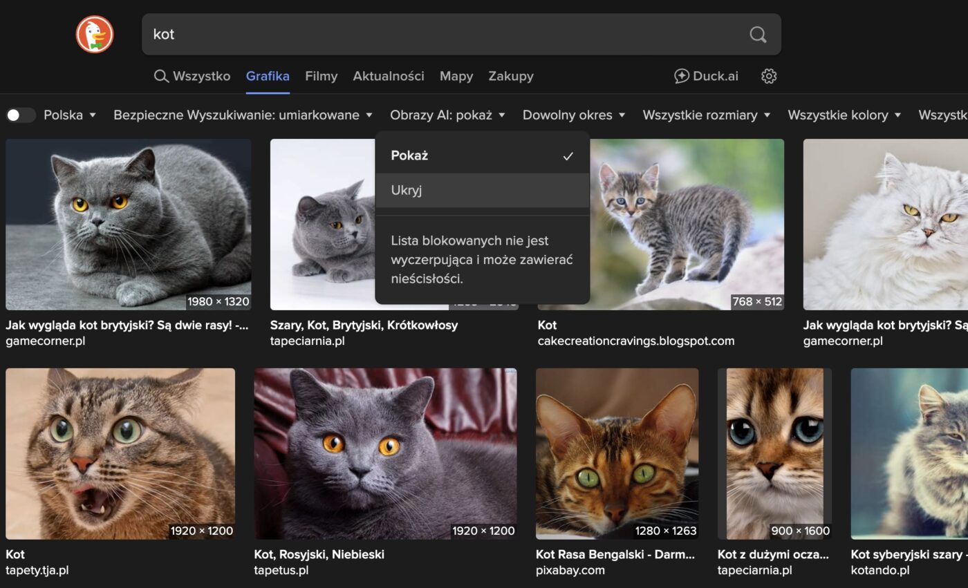 DuckDuckGo filtr AI