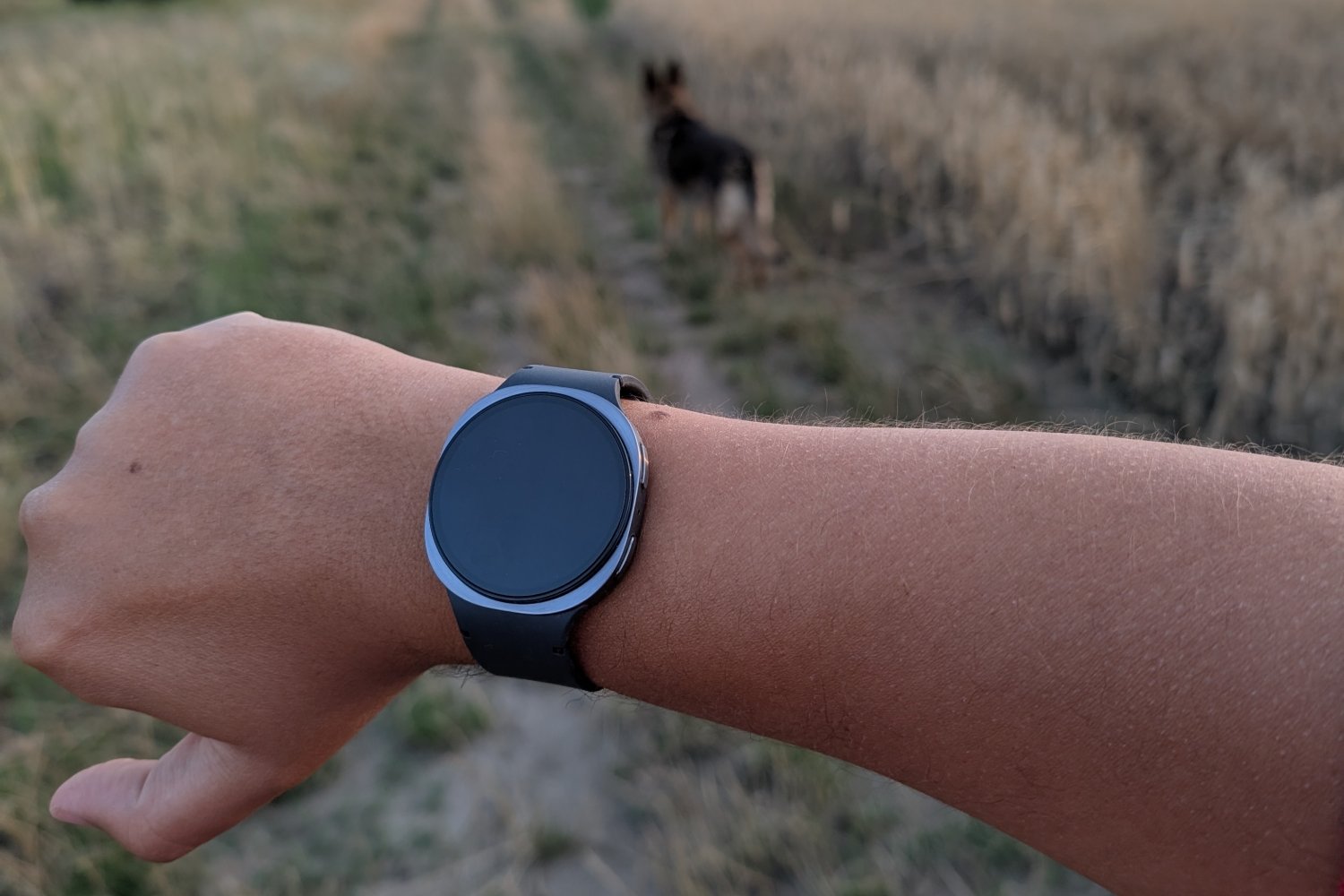 Samsung Galaxy Watch 8