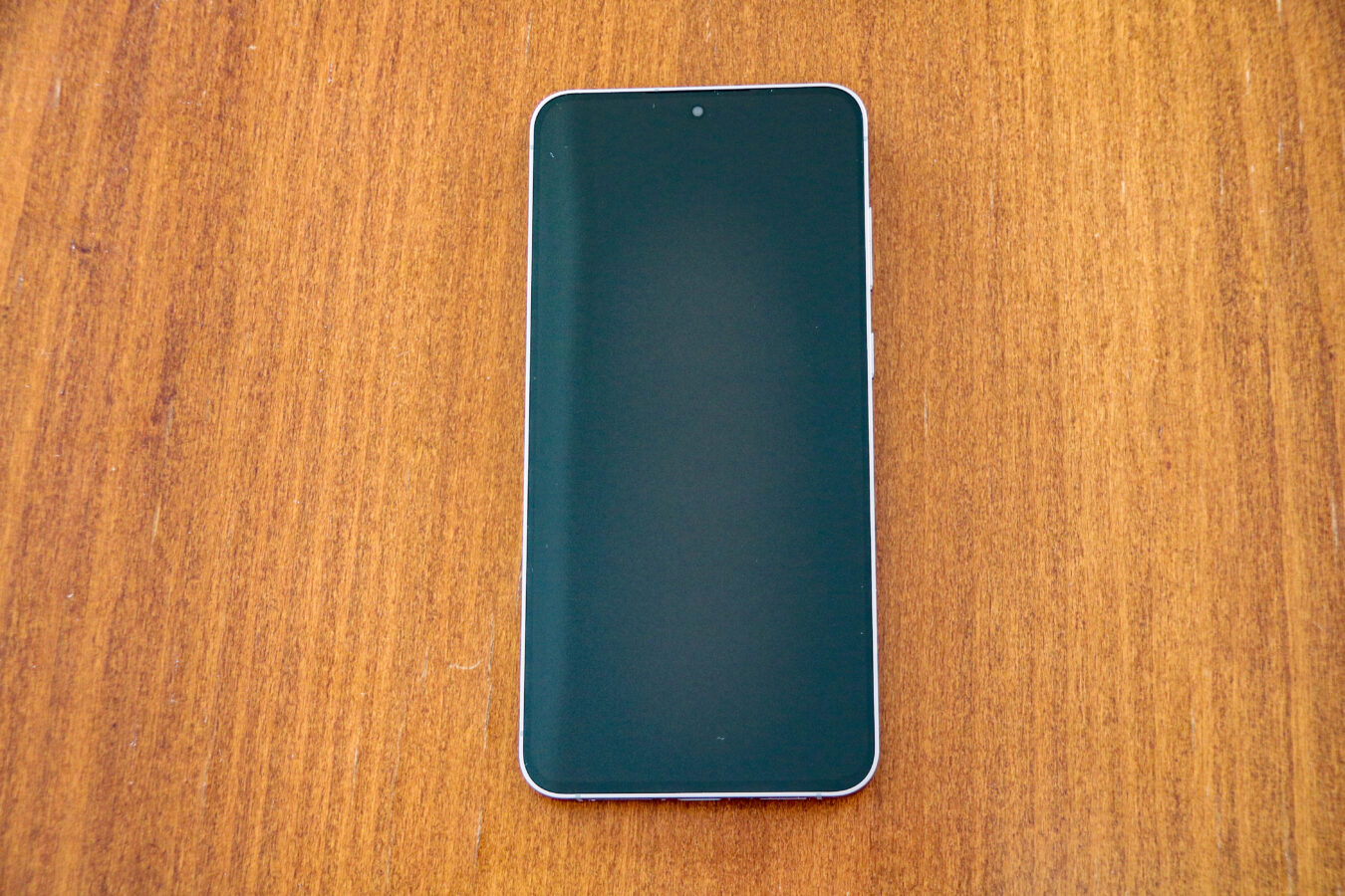 Samsung Galaxy S25 FE