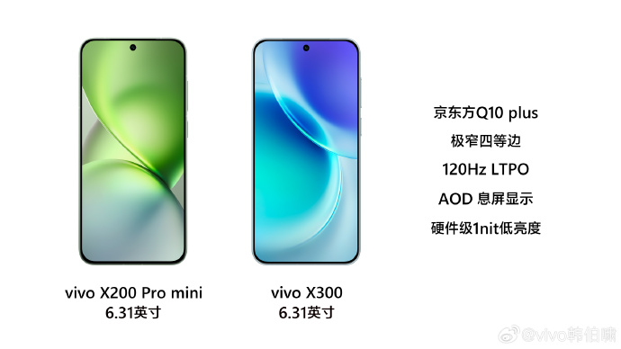 vivo-x300