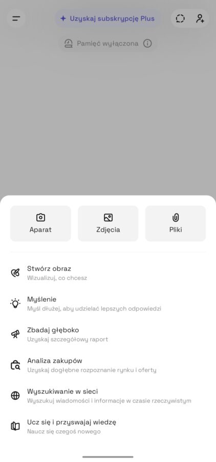 ChatGPT, przewodnik zakupowy, Analiza zakupów