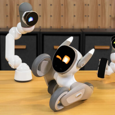 Loona robot-pupil w Polsce