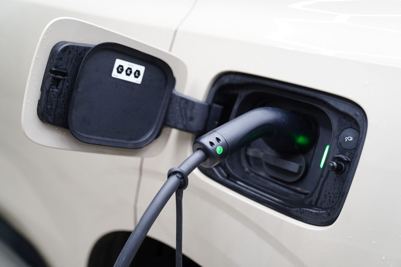 EcoFlow PowerPulse 2