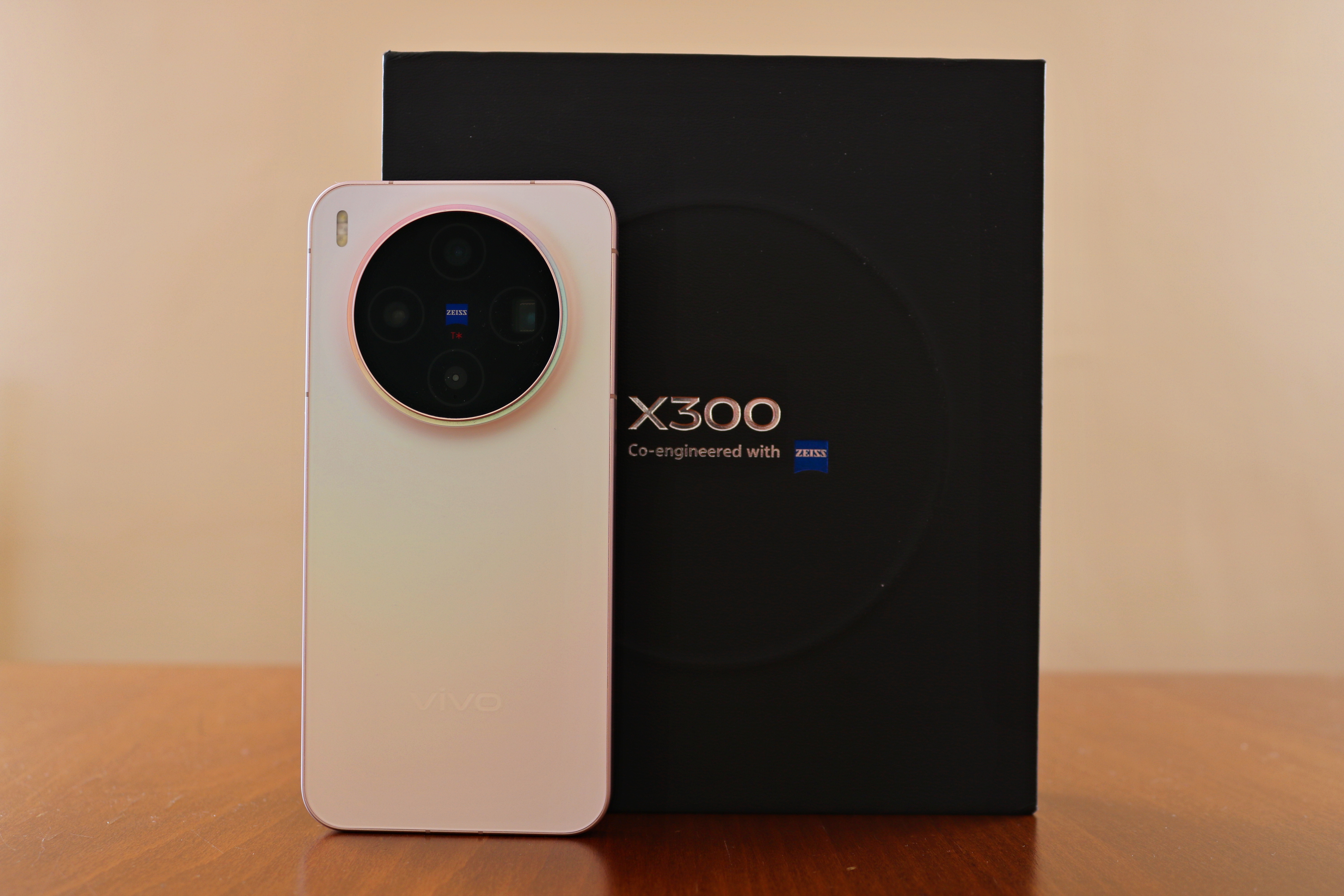 Vivo X300