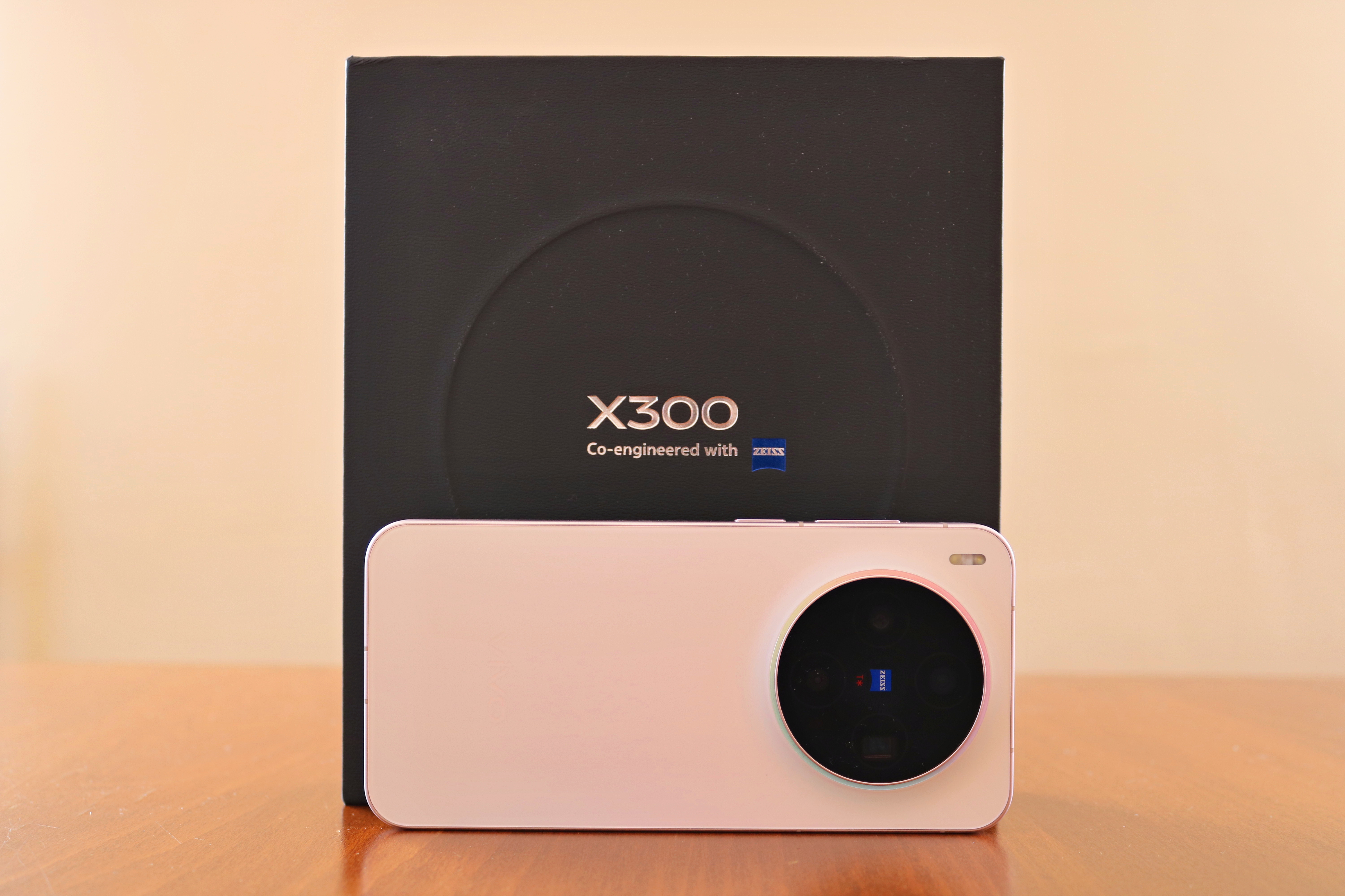 Vivo X300