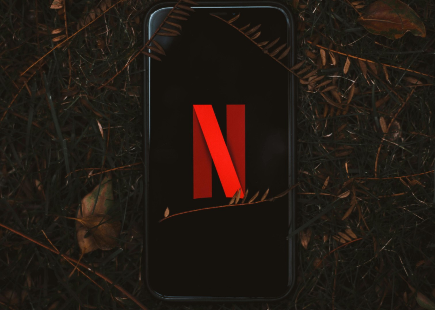 Netflix, smartfon, logo