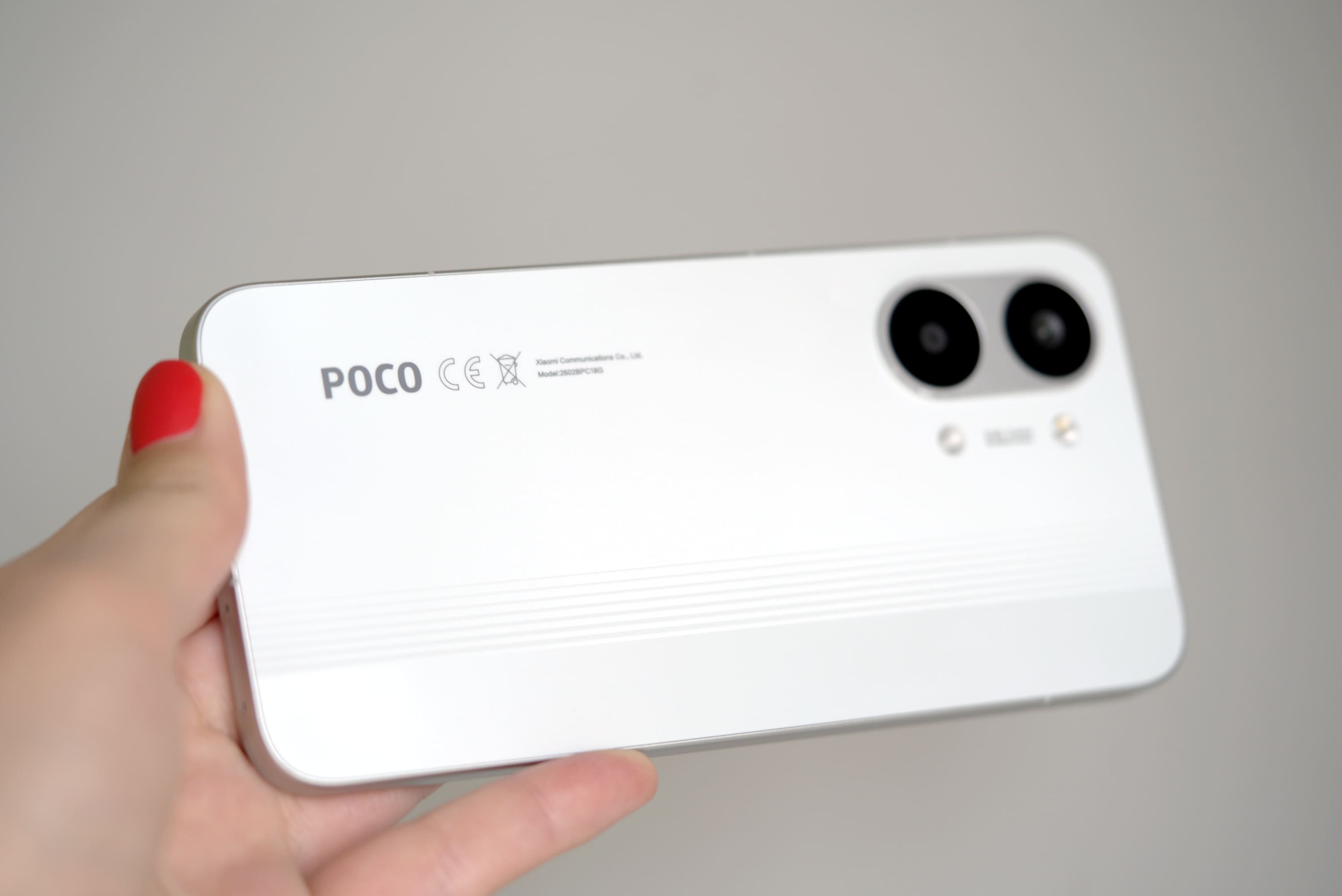 Poco X8 Pro Max