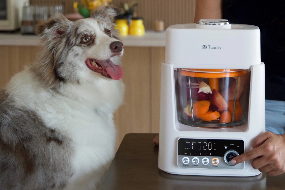 Pies, Tuanty Pet Food Maker, urządzenie do przygotowywania posiłków dla psa, kota, pupila