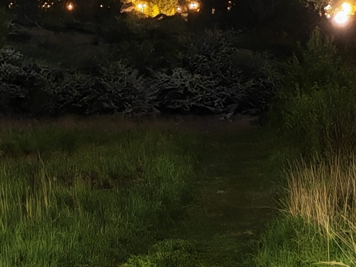 Honor 600 Pro - Zdjęcia Nocne