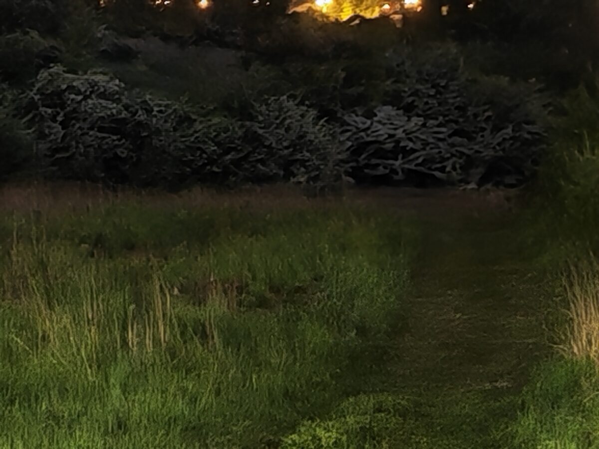 Honor 600 Pro - Zdjęcia Nocne