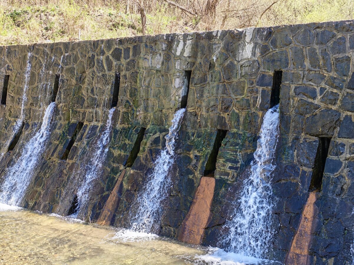 Honor 600 Pro