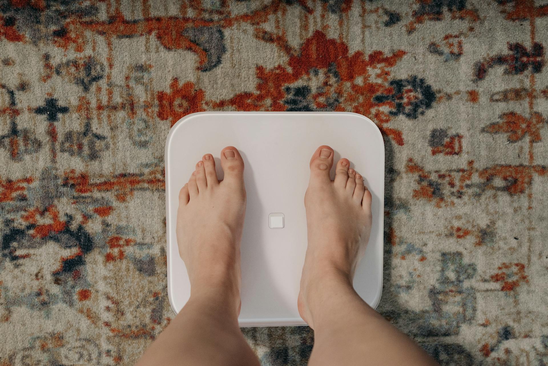 waga scale