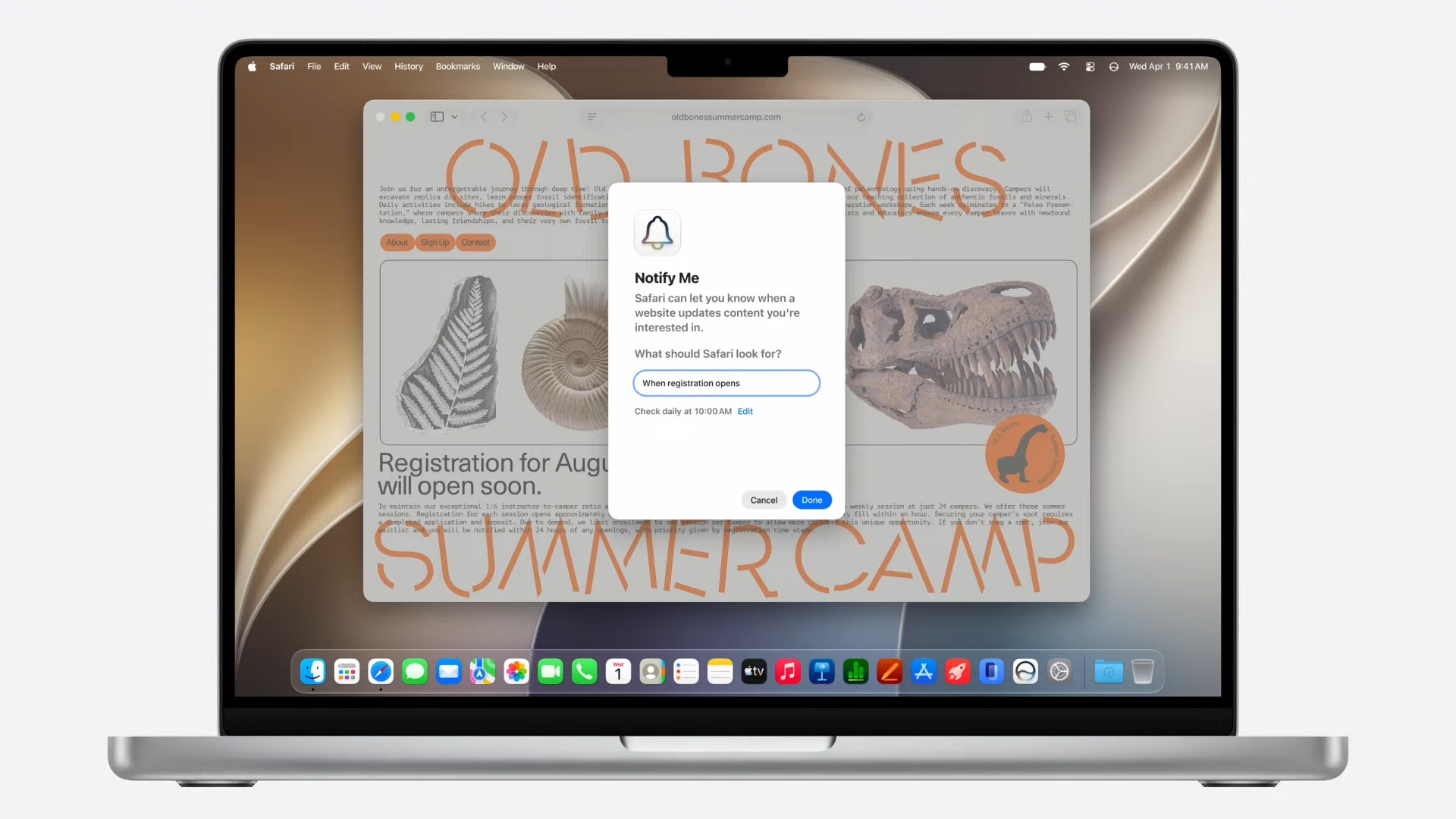 safari 2026