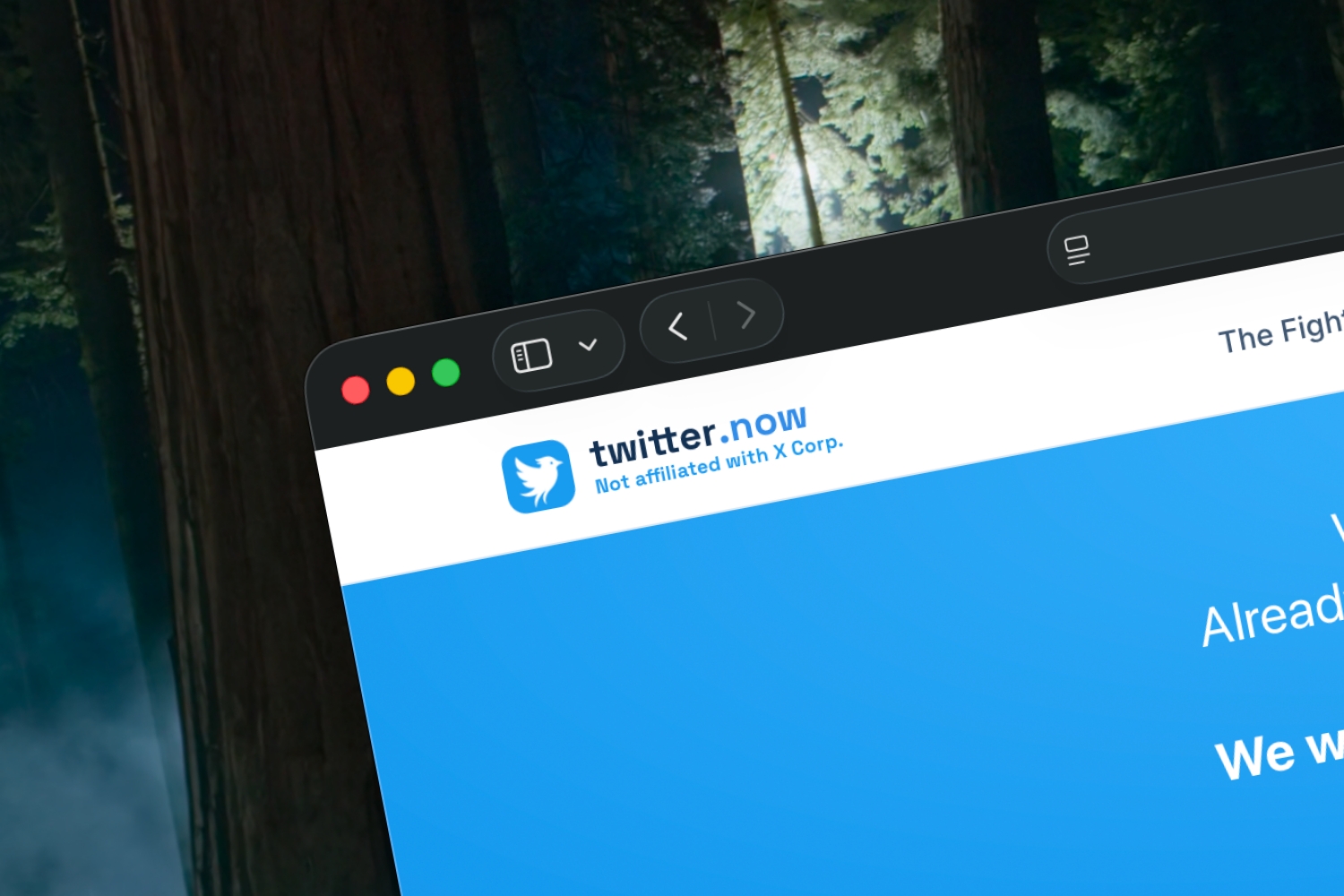 Nowy Twitter