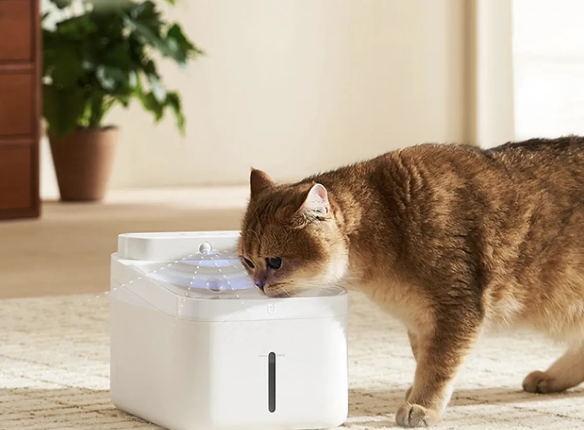 poidło Xiaomi Mijia Smart Pet Water Fountain 2 Sterilization Edition