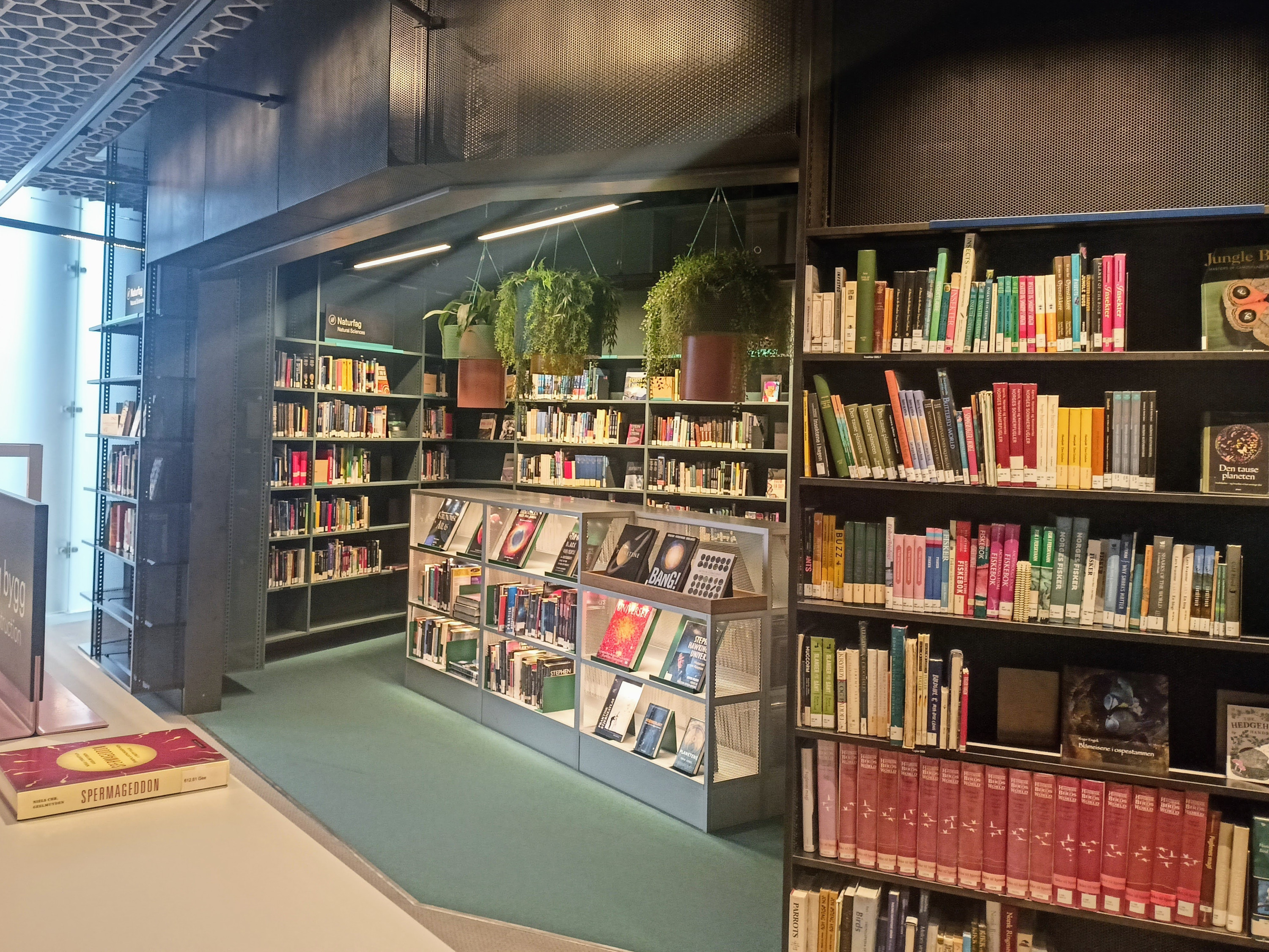 Biblioteka w Oslo