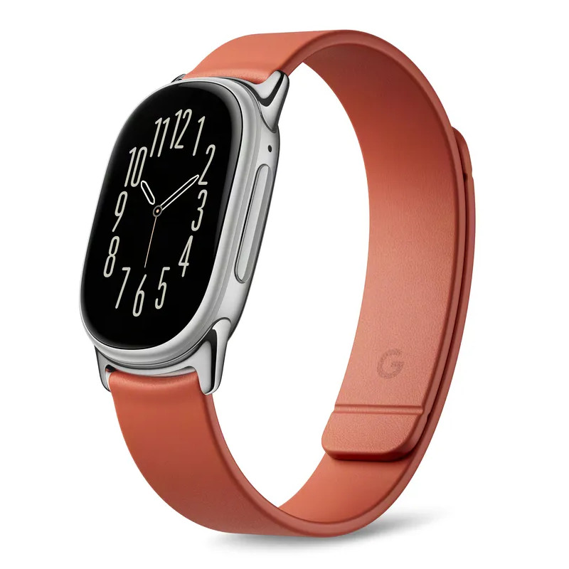 Google Fitbit Edge