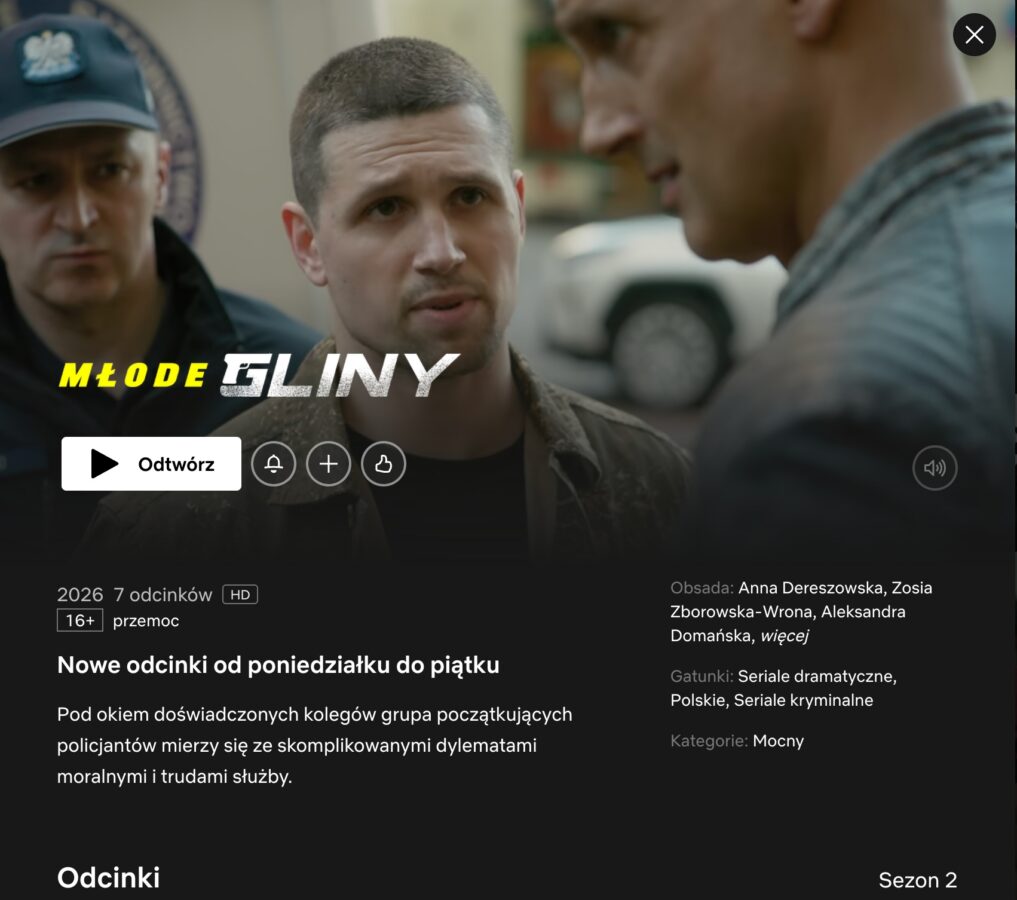 Netflix Młode Gliny